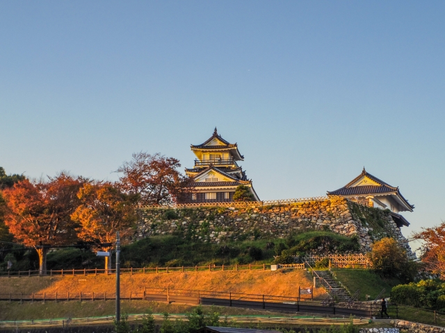 Hamamatsu Castle with sunset