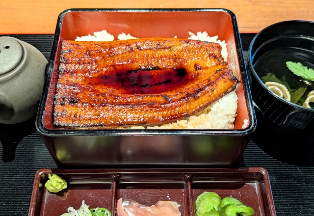 Unagi (Eel) dishes in Hamamatsu