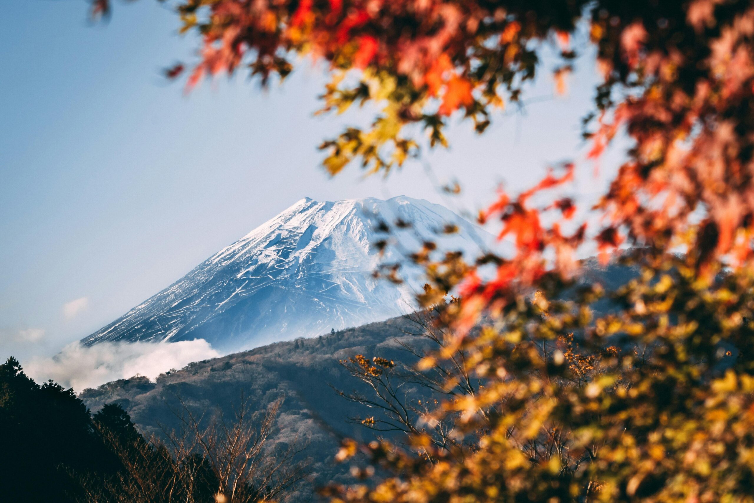 A serene view of Mount Fuji framed by vibrant autumn foliage under a clear blue sky.